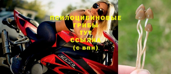a pvp Беломорск