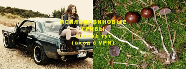 кристаллы Белокуриха