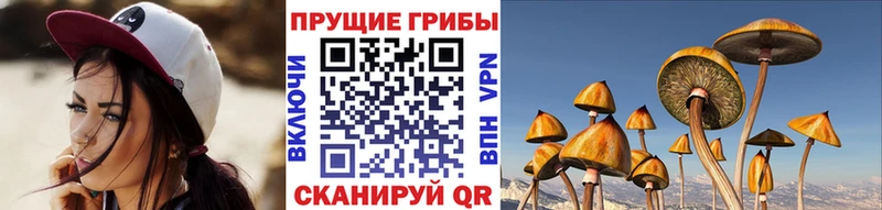 кракен ССЫЛКА  Гулькевичи  Галлюциногенные грибы ЛСД 